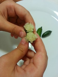 Squeezing a Finger Lime