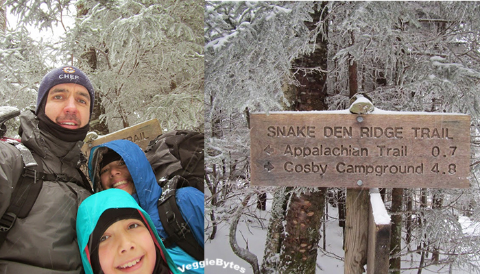 Snake Den Ridge Trail 