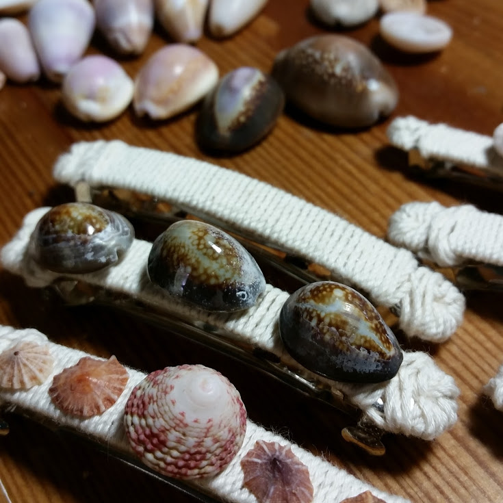 Shells from Miloli'i