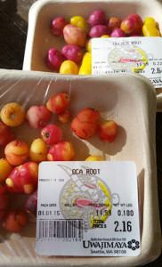Ulluco Root