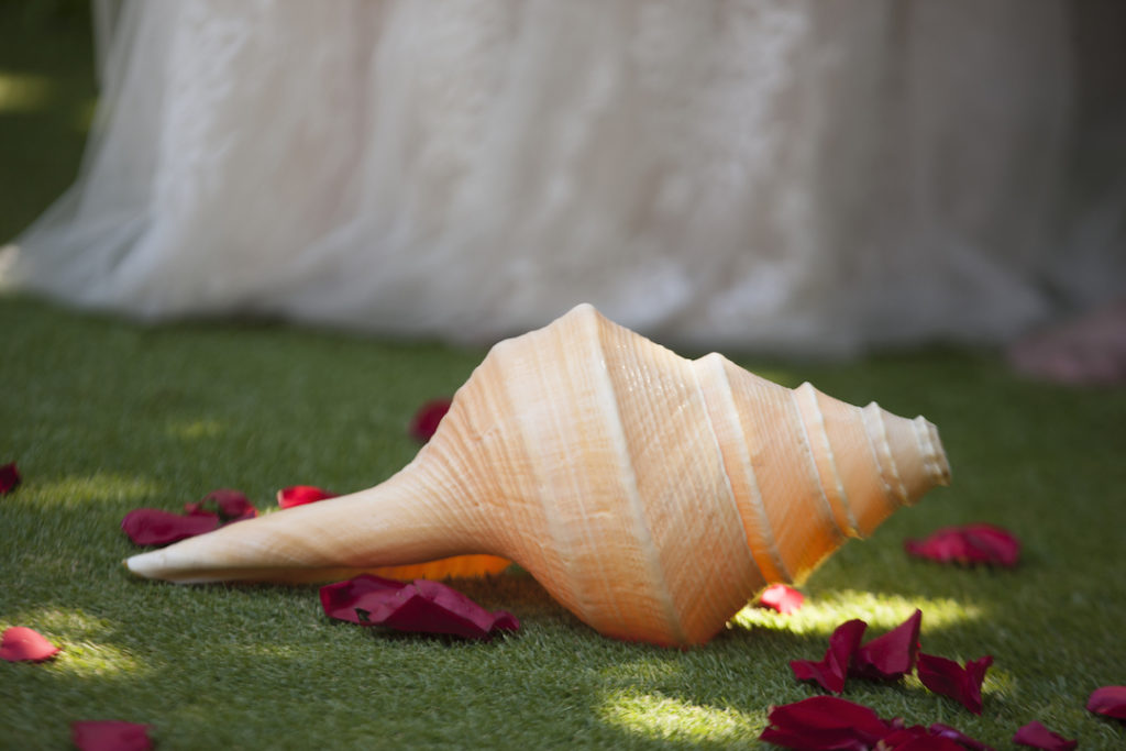 Hawaiian Conch Shell