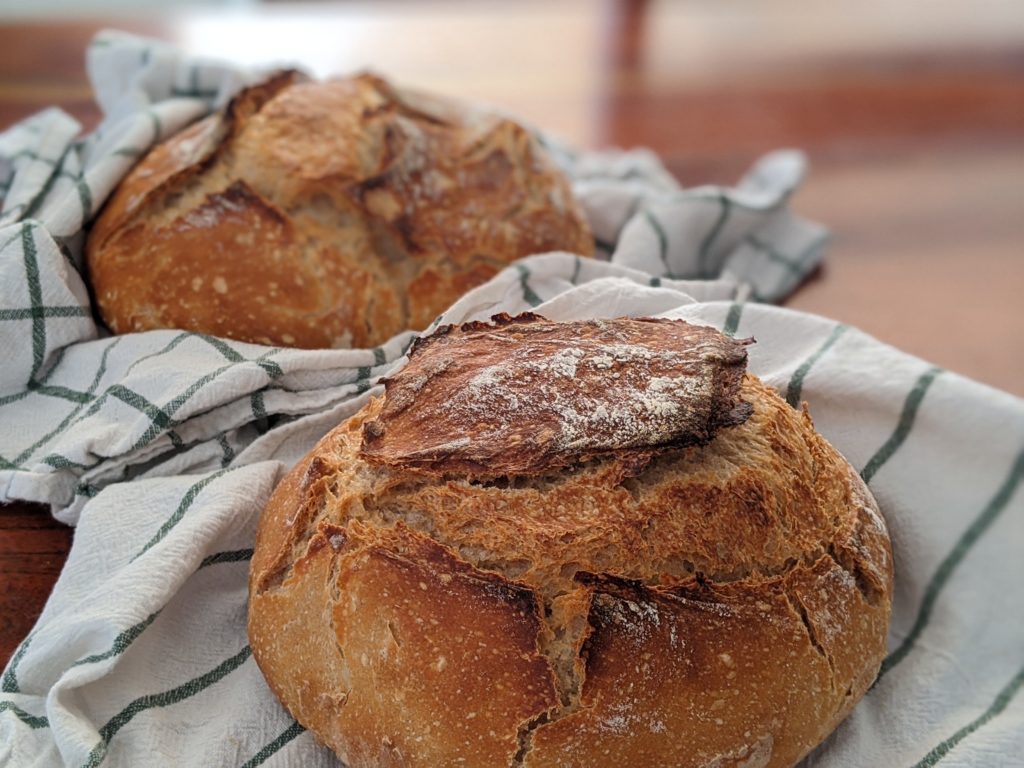 Sourdough Boules