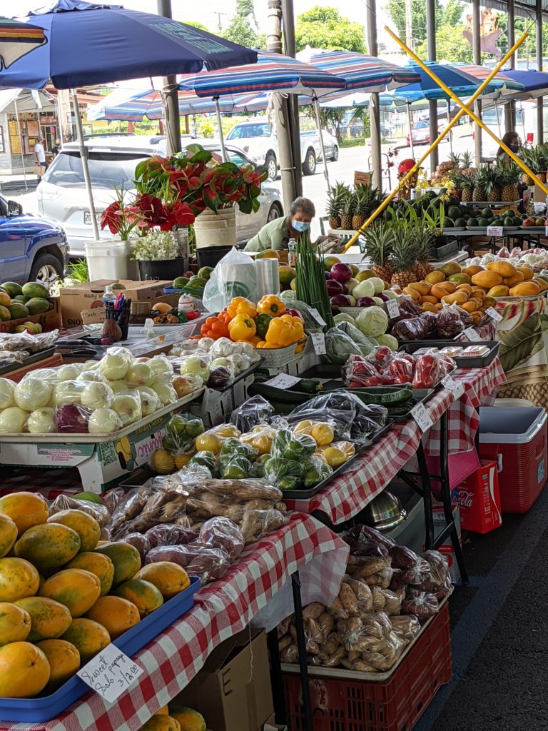 Hilo Farmer's Market
Vegan Big Island eats 2021