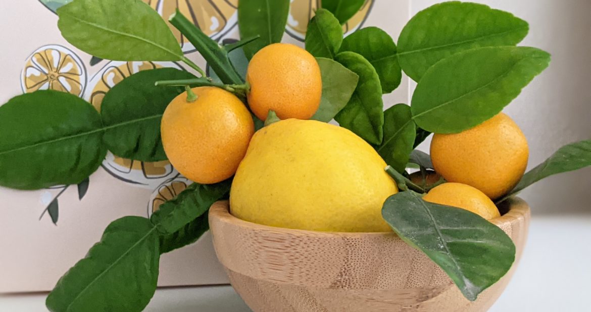 winter citrus