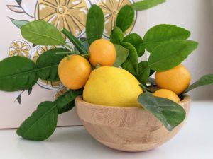 winter citrus