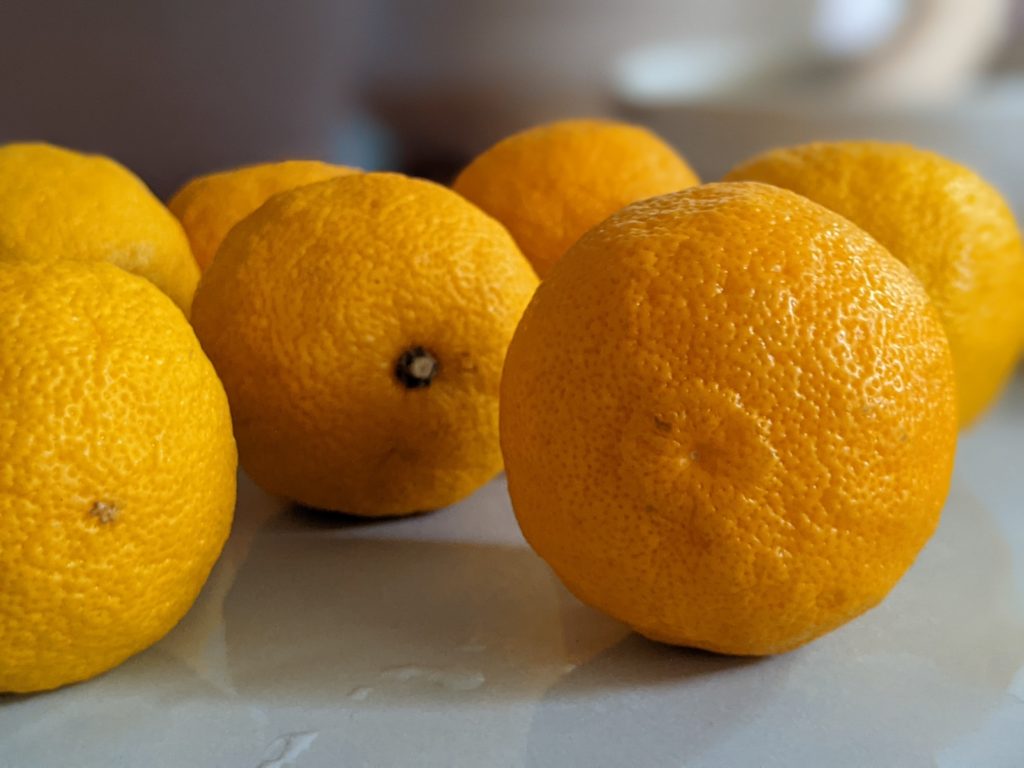 Yuzu citrus fruit