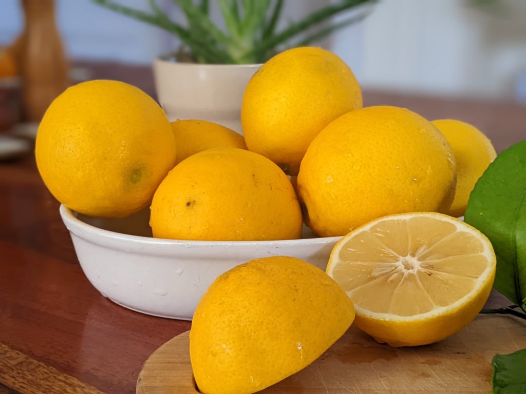 Meyer lemons for homemade marmalade